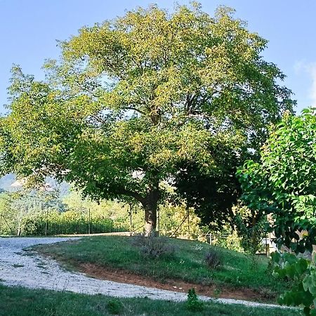 Bed and Breakfast Dolcedorme Del Pollino à Morano Calabro Extérieur photo